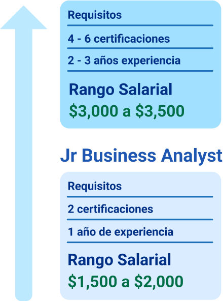 Business Analyst